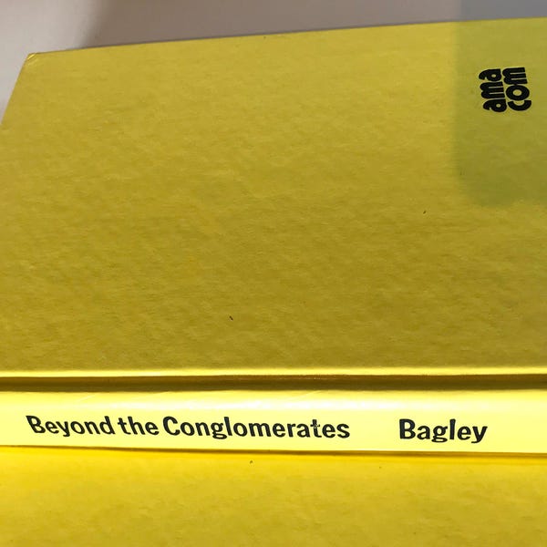 1975 Beyond the Conglomerates by Edward R. Bagley author copy vintage hardcover book dust jacket