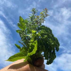 Dried Culinary Herb Blend