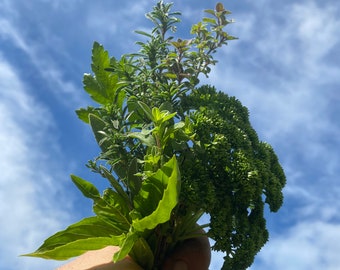 Dried Culinary Herb Blend