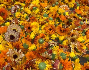Flores de caléndula - hierba seca