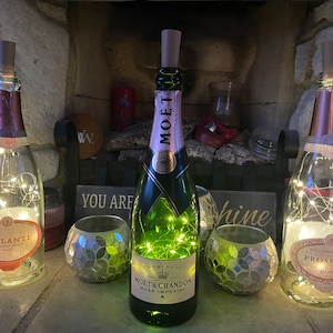Bottle lights, perfect for: Wine / Prosecco / champagne / gin / whiskey / rum / vodka / beer
