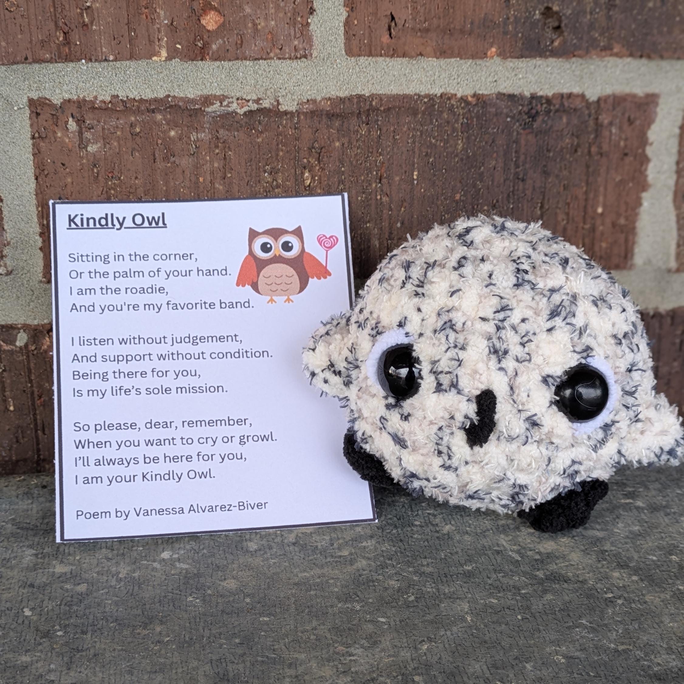 Kindly Owl Crochet Plushie and Poem Card Emotional Support Friend