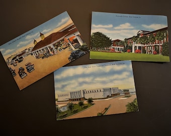 Collection Vintage 'New Orleans' Post Cards.  50's.   French Market, New Union Terminal, Newcomb College.