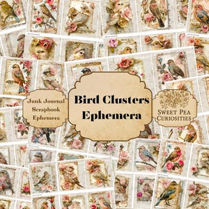Bird Clusters, Junk Journal, Vintage, Printable, Digital Download, Junk Journal kit, Collage, Scrapbook, Pack, Ephemera, kit, Mixed Media