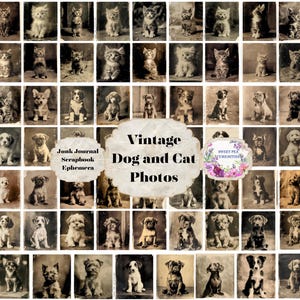 Gatos y perros, Kit de diario basura, Digital, Descargable, Imprimible, Fotos, Grunge, Álbum de recortes, Efímera, Grunge, Shabby Chic