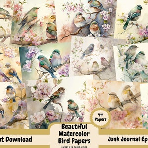 Vögel, Papier, Digital, Download, bedruckbar, Junk Journal, Zubehör, Collage, Gästebuch, Mixed Media, Edith Holden, Vintage, Blumen, Journal