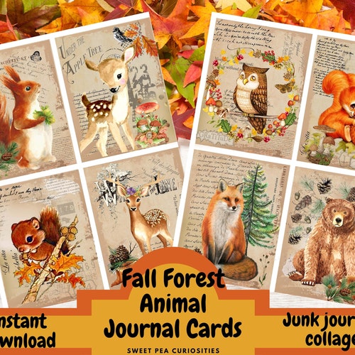 Junk Journal Kit Collage Paper Junk Journal Mixed Media Etsy Junk Journal Kit Collage Paper Junk Journal Mixed Media Etsy