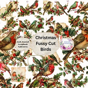 Weihnachtsvögel, Junk Journal, Vintage, bedruckbar, digitaler Download, Junk Journal Kit, Collage, Scrapbook, Pack, Ephemera, Pingeliger Schnitt