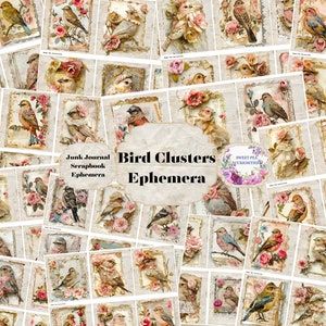 Vogel Clusters, Junk Journal, Vintage, bedruckbar, digitaler Download, Junk Journal Kit, Collage, Scrapbook, Pack, Ephemera, Kit, Mixed Media