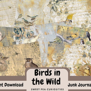 Junk Journal kit, Digital, Download, Printable, Birds, Nature, Collage, Junk Journal Supplies, Ephemera, Scrapbook, Paper, Kit, Pack, Grunge