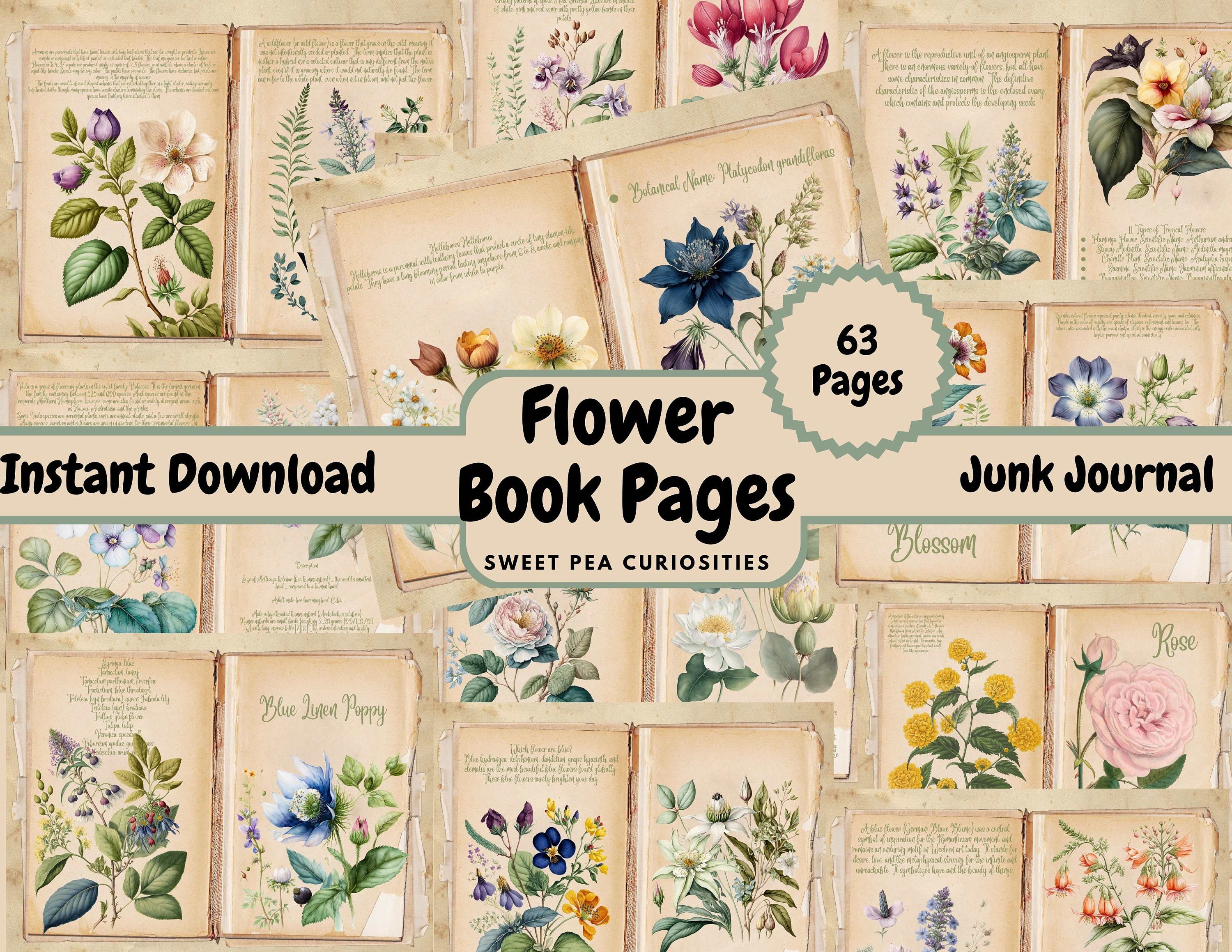 Beginner's Junk Journal Mixed Media Supplies Kit - Shipped to You | Antique  Japanese Florals Theme, Botanical Ephemera and Paper Pack