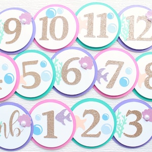 Under The Sea First Birthday Photo Banner, Oneder the Sea Mermaid Milestone Banner