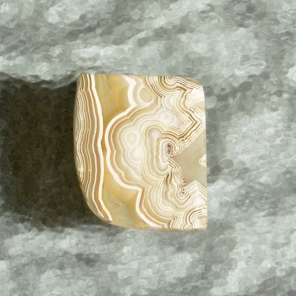 Mexican Lace Agate Hand Cut Free Form Cabochon With Fortification Banding Pastel Yellow, White, and Gray  25 x 21.2 x 3.1 mm. #6906MLA