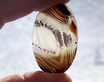 Coyomito Ranch Agate Oval Cabochon 43.7x26.3x3.4 Beautifully Transparant #6230COY