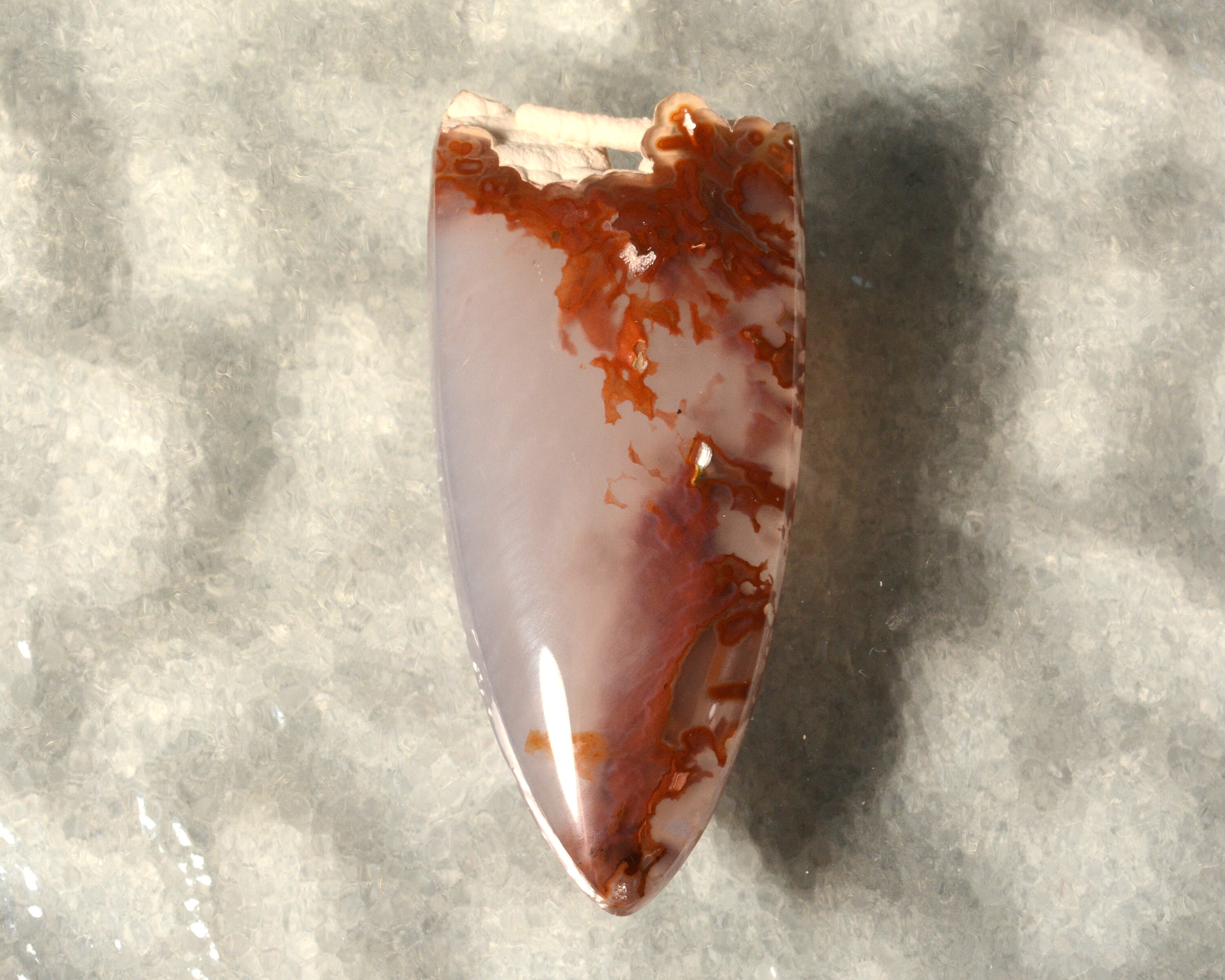 Bull 2024 canyon agate