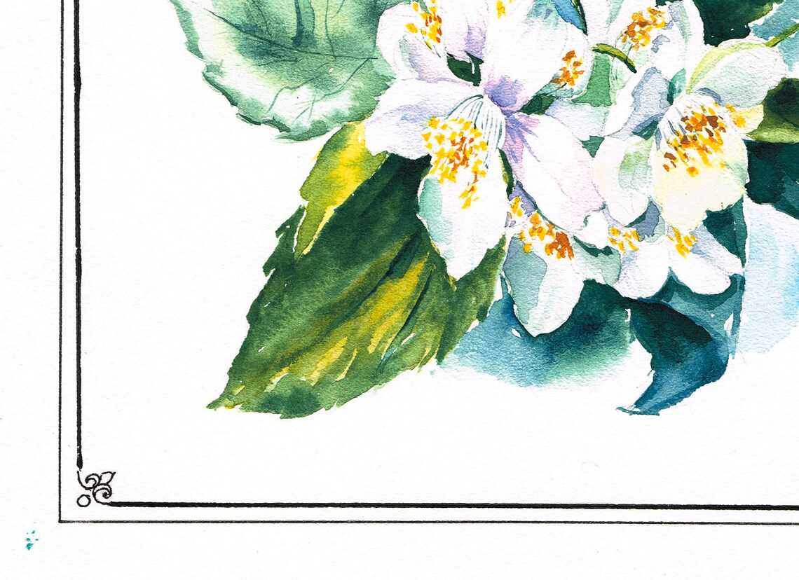 Jasmine Painting Flowers Watercolor Original White Floral Wall Etsy