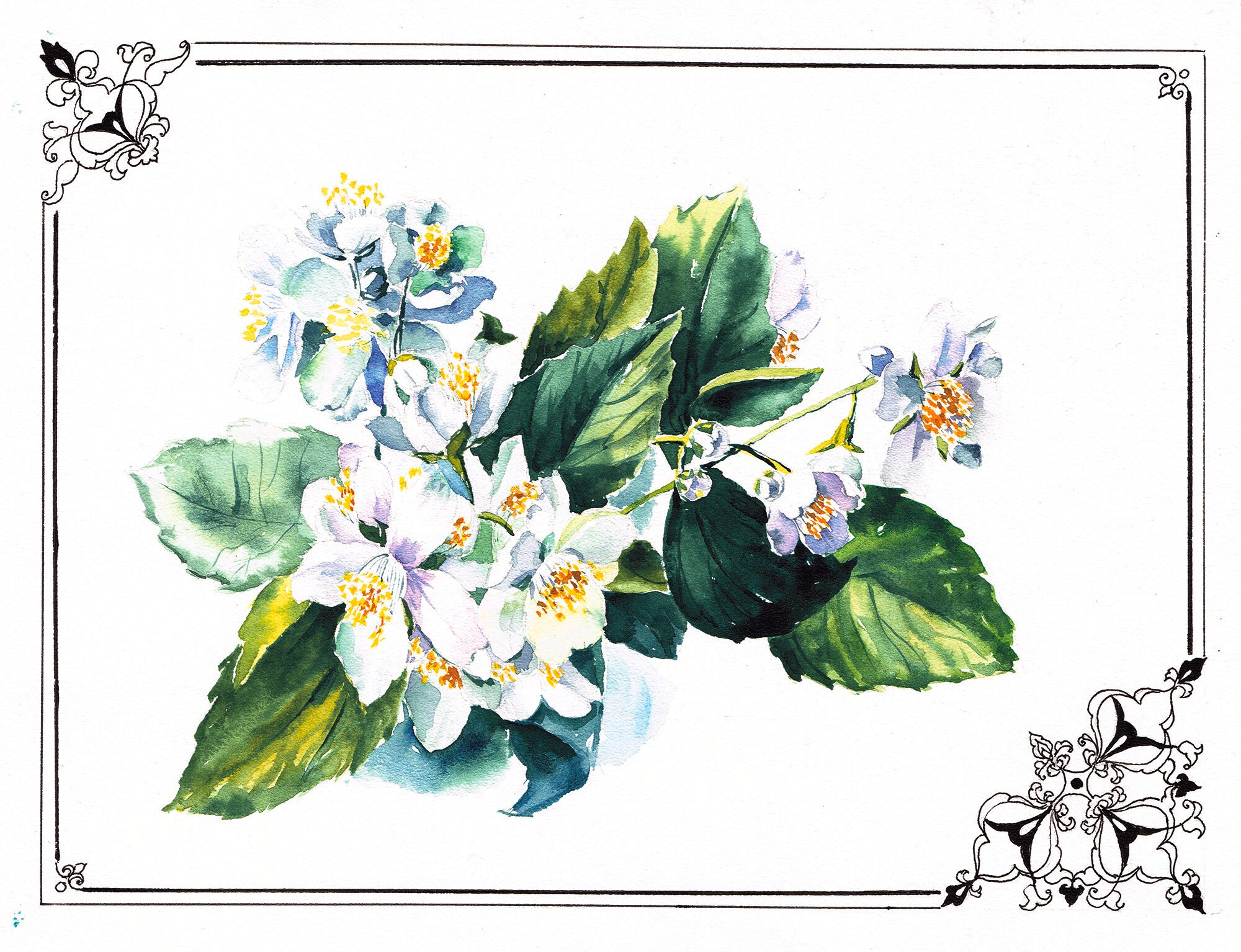Jasmine painting Flowers watercolor original White floral wall Etsy