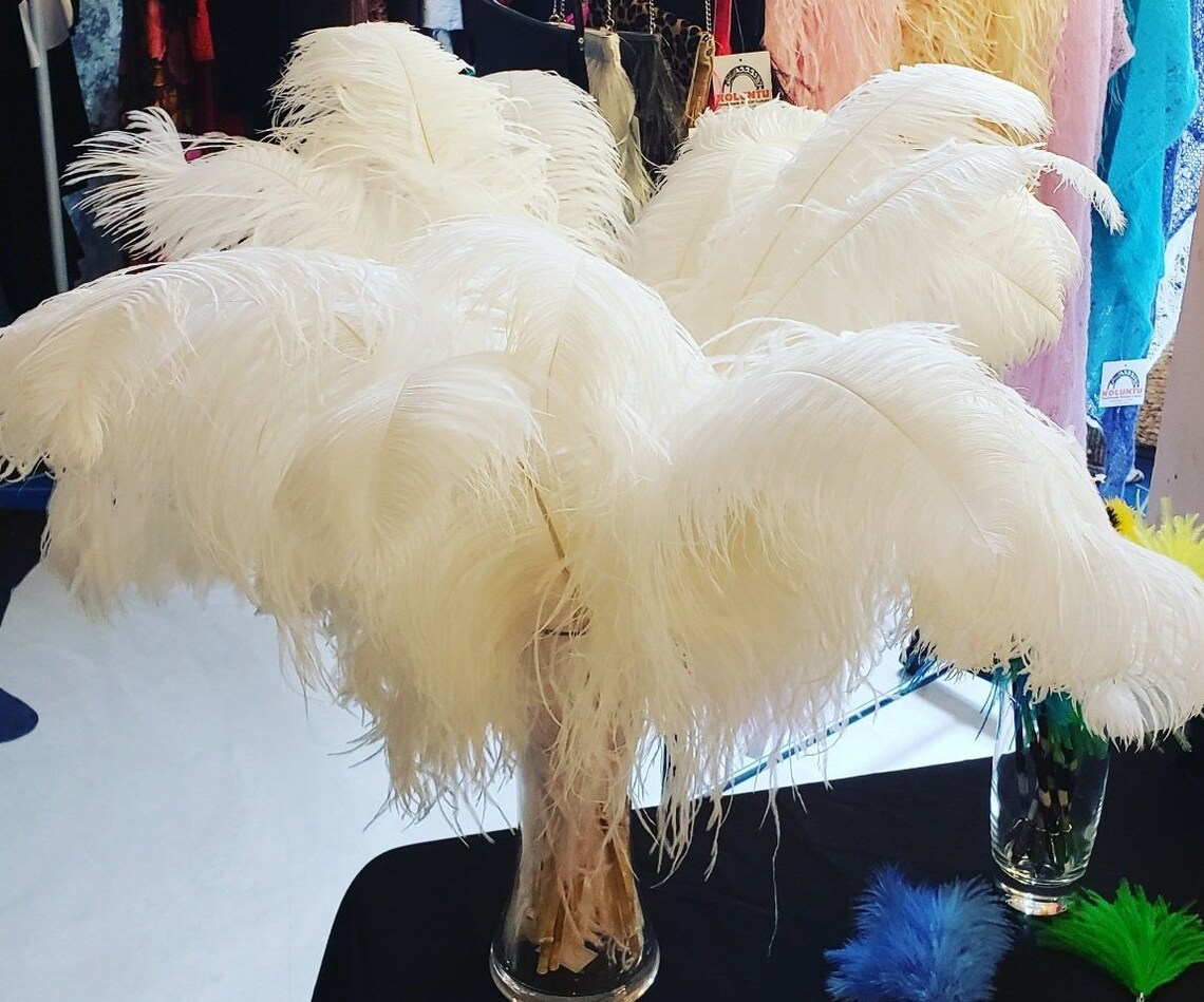 1st Grade, XL Single Ostrich Feather, 20 to 27 Inches, White Ivory, Sustainable and Ethical Etsy