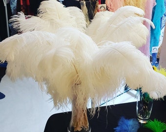 1st Grade, XL Single Ostrich Feather, 20 to 27 inches, White Ivory, sustainable and ethical