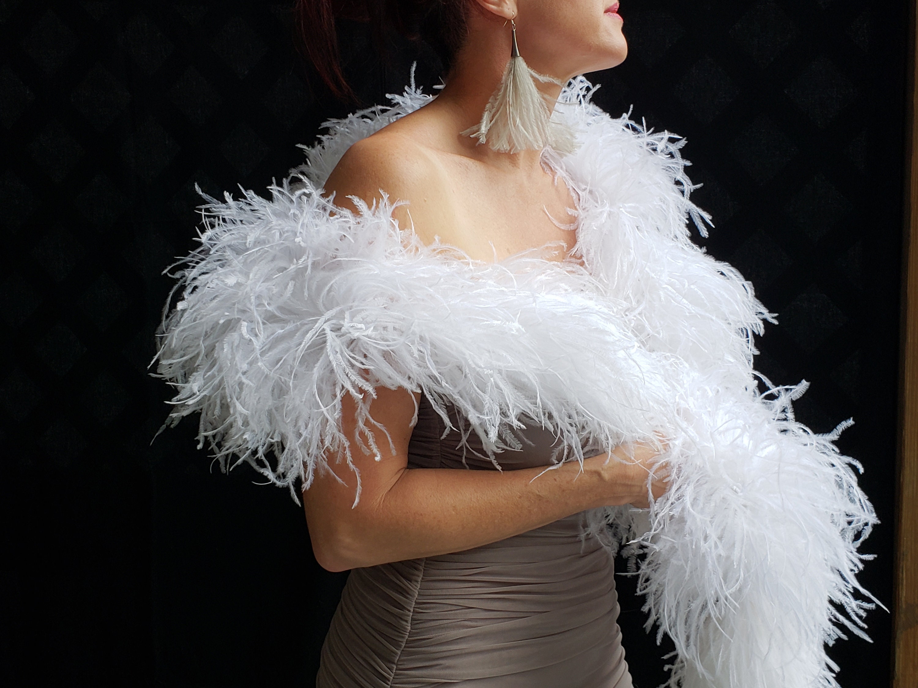 Beautiful Vintage 1920s Lady Wearing A Headband And White Feather Boa Stock  Photo, Picture and Royalty Free Image. Image 31473513.