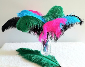 1st Grade, XL Single Ostrich Feather, 18 to 26 inches, many colors, sustainable and ethical
