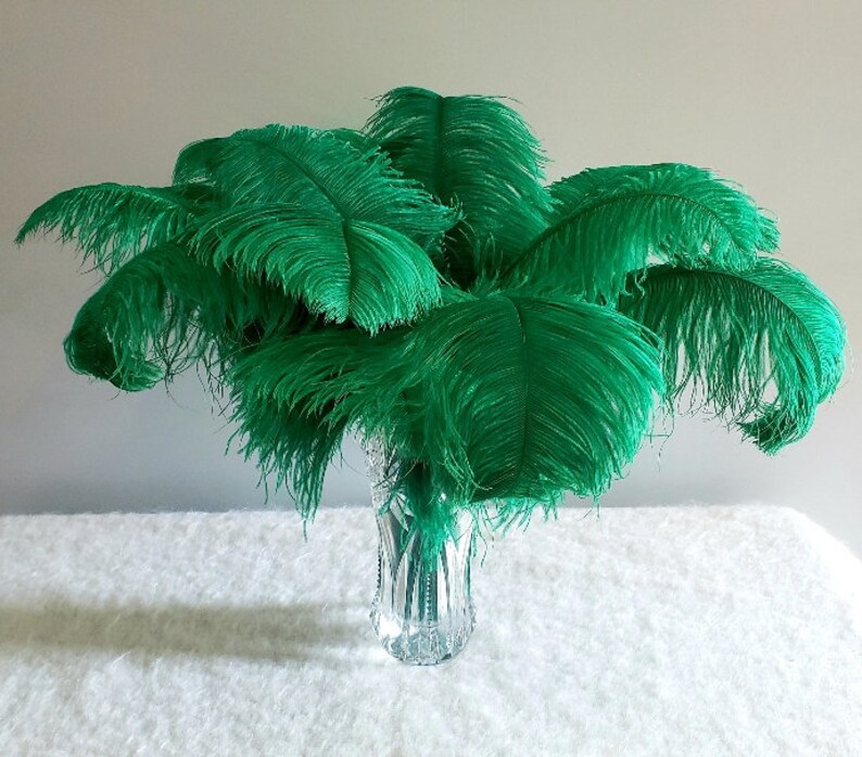 1st Grade, XL Single Ostrich Feather, 20 to 27 Inches, White Ivory, Sustainable and Ethical Etsy