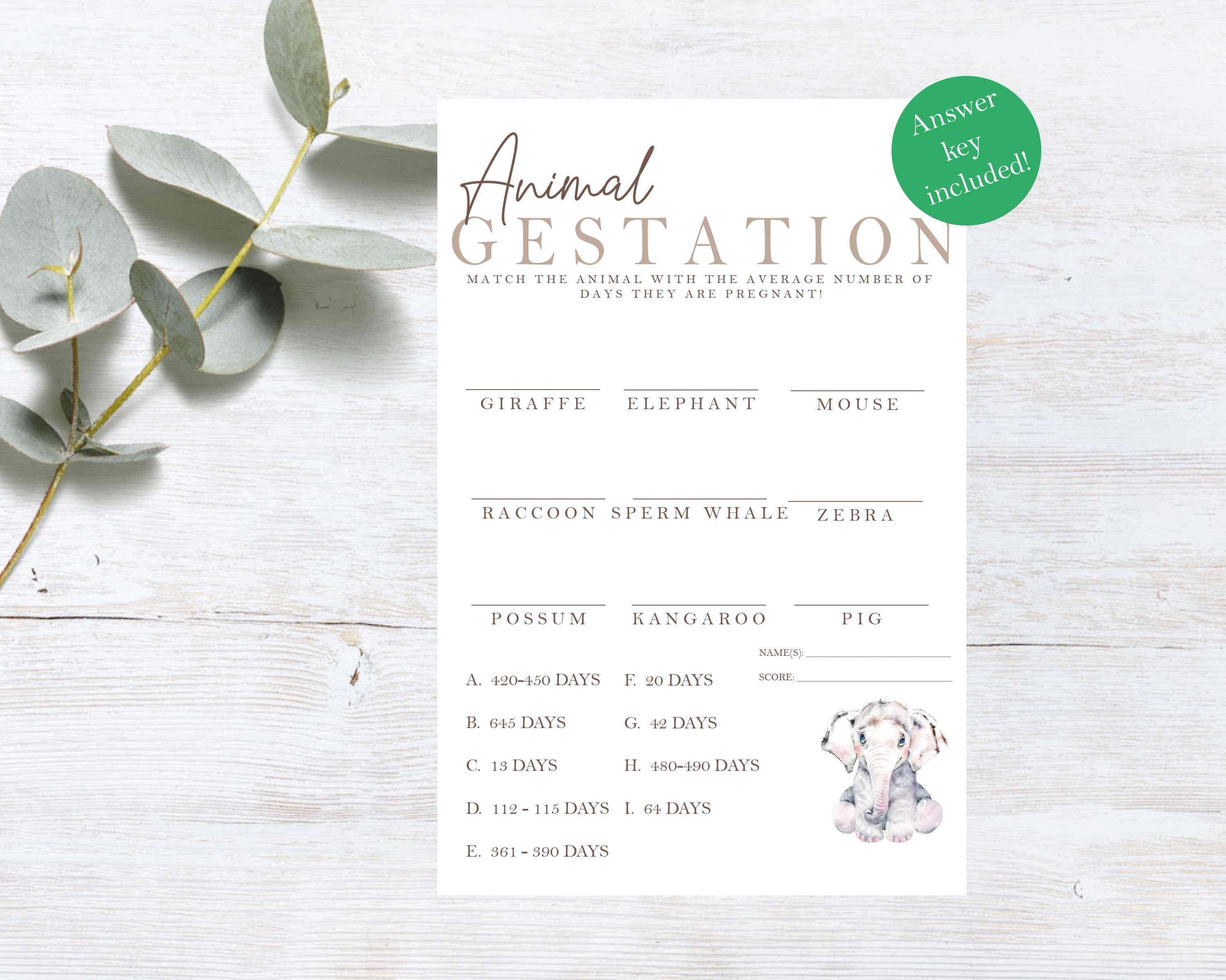 PRINTABLE Baby Shower Game | Animal Gestation Quiz | Baby Shower Games ...