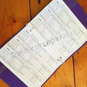 Pu&ograve; includere: Un raccoglitore viola con pagine bianche e un meccanismo di rilegatura ad anelli argentato. Le pagine sono riempite con un registro di lotti di liofilizzazione, con colonne per la data, il ciclo del lotto, il tempo di processo e le note.