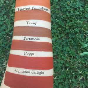 Harvest Pumpkins Liquid Lipstick image 5