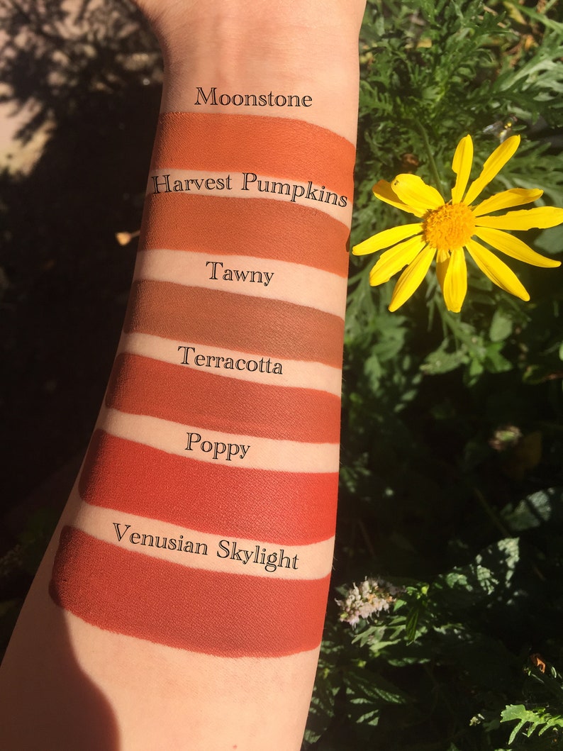 Harvest Pumpkins Liquid Lipstick image 6