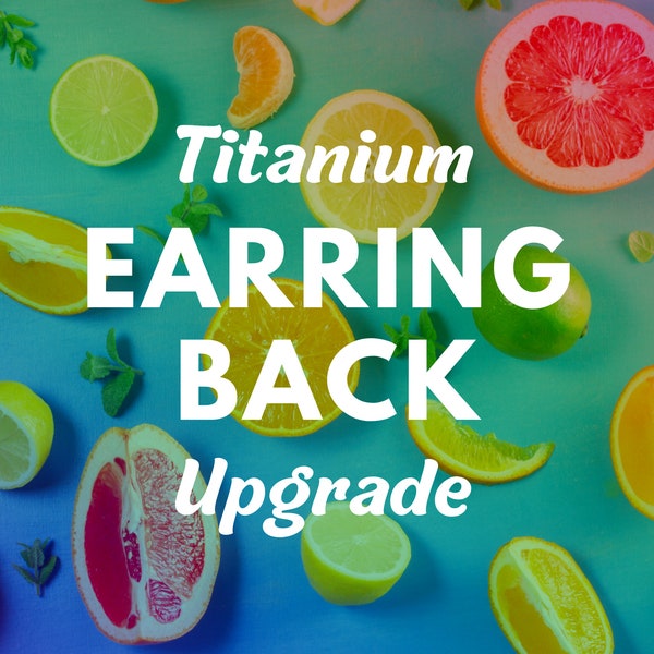 Titanium Earring Backs // 1 Pair Extra Titanium Backs // Nickel Free Butterfly Backs