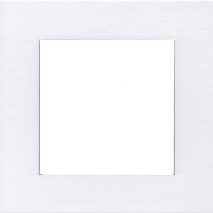 May include: A white mat with a white frame around a blank white space.