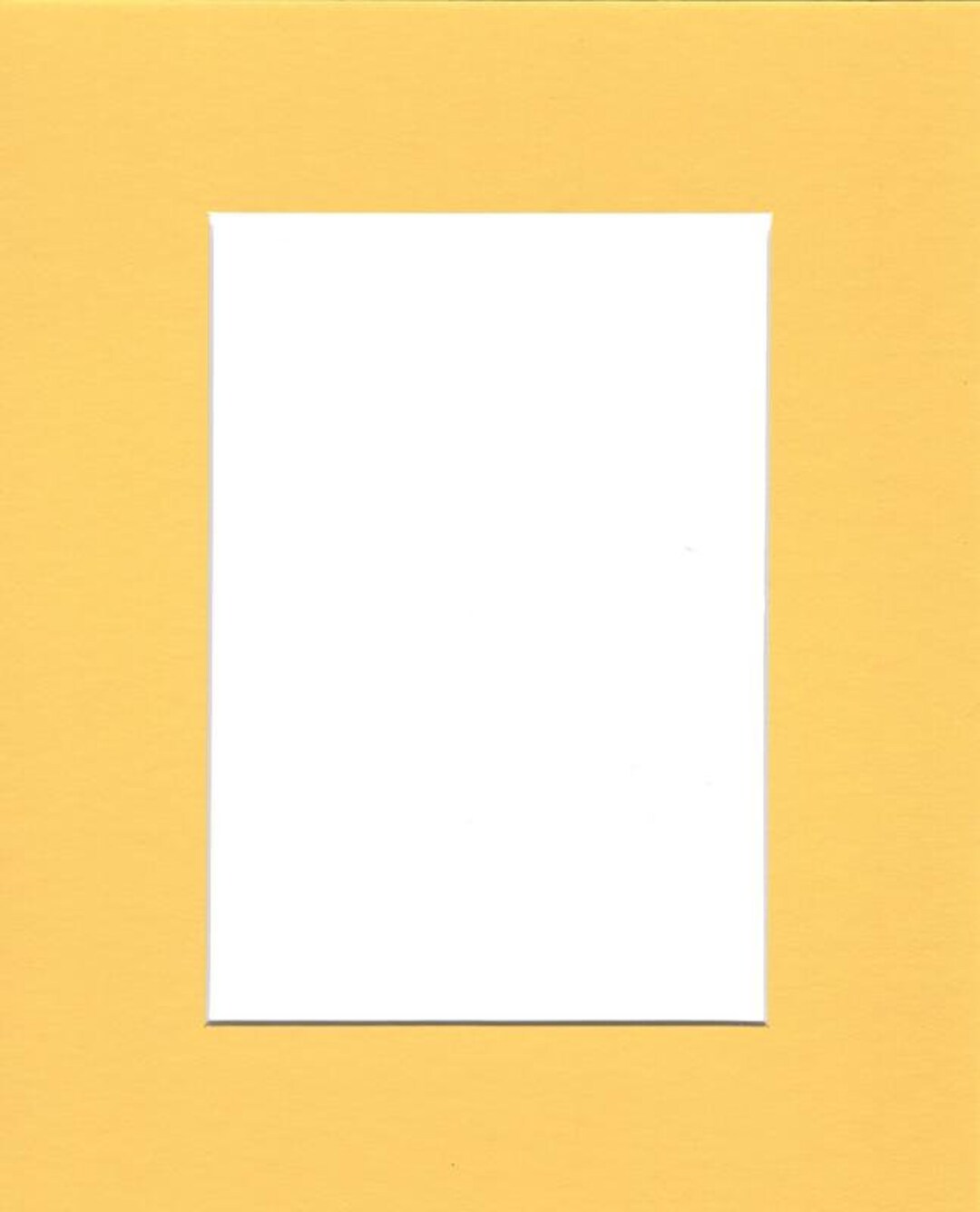 5x7 White Cards White or Ivory Invitation Cards Blank Cardstock