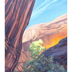 Escalante Glow, Golden Cathedral, Escalante National Monument, Utah  - Print