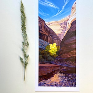 Coyote Glow, Escalante National Monument, Coyote Golch Utah  - Print