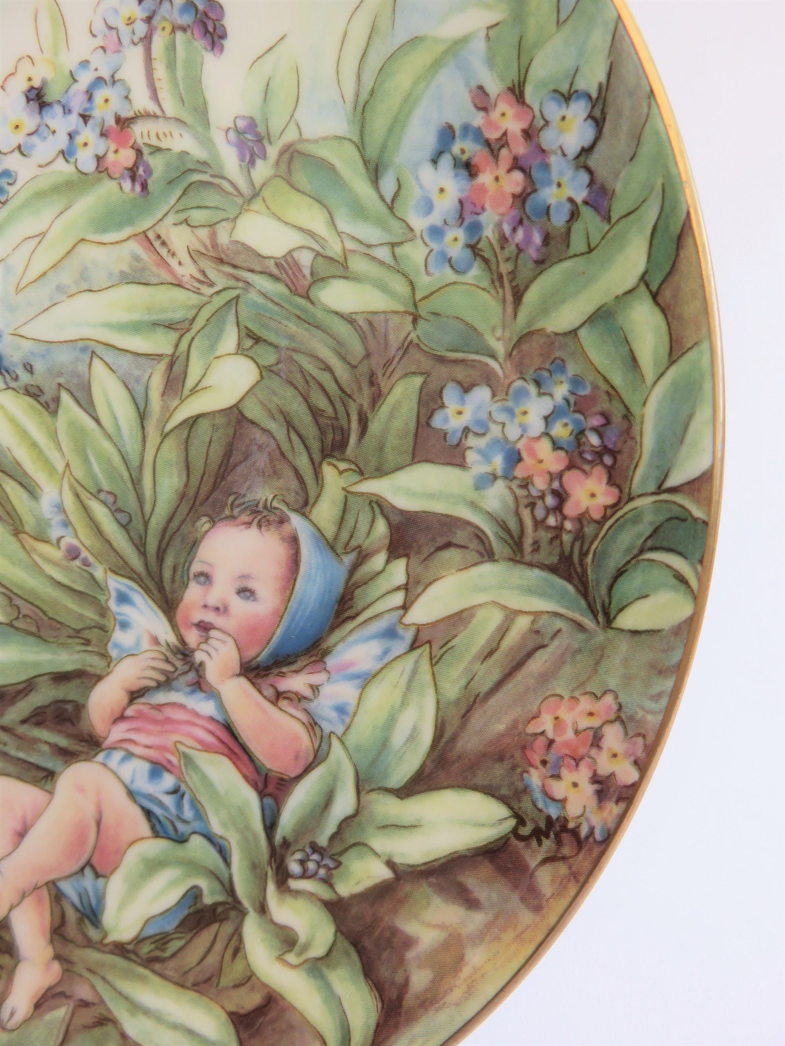 Forget Me Not Fairy Plate From the Festival of Flower Fairies - Etsy UK