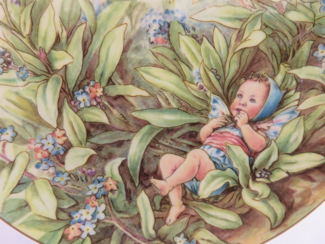 Forget Me Not Fairy Plate From the Festival of Flower Fairies - Etsy UK