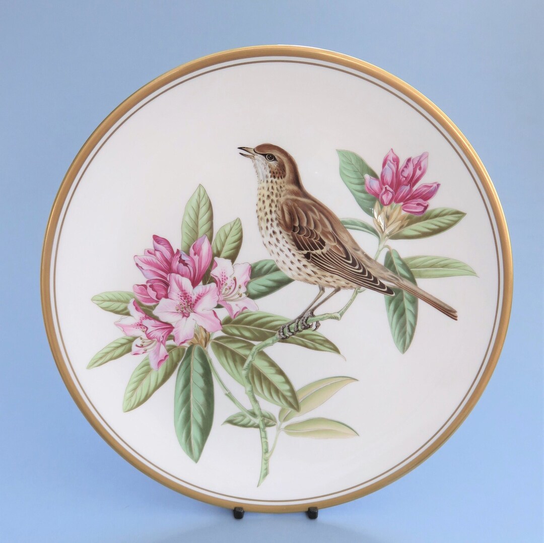 Spode Garden Birds Plate Beautiful Mistle Thrush Collectible Plate In Spode Garden Birds Plate Beautiful Mistle Thrush Collectible Plate In