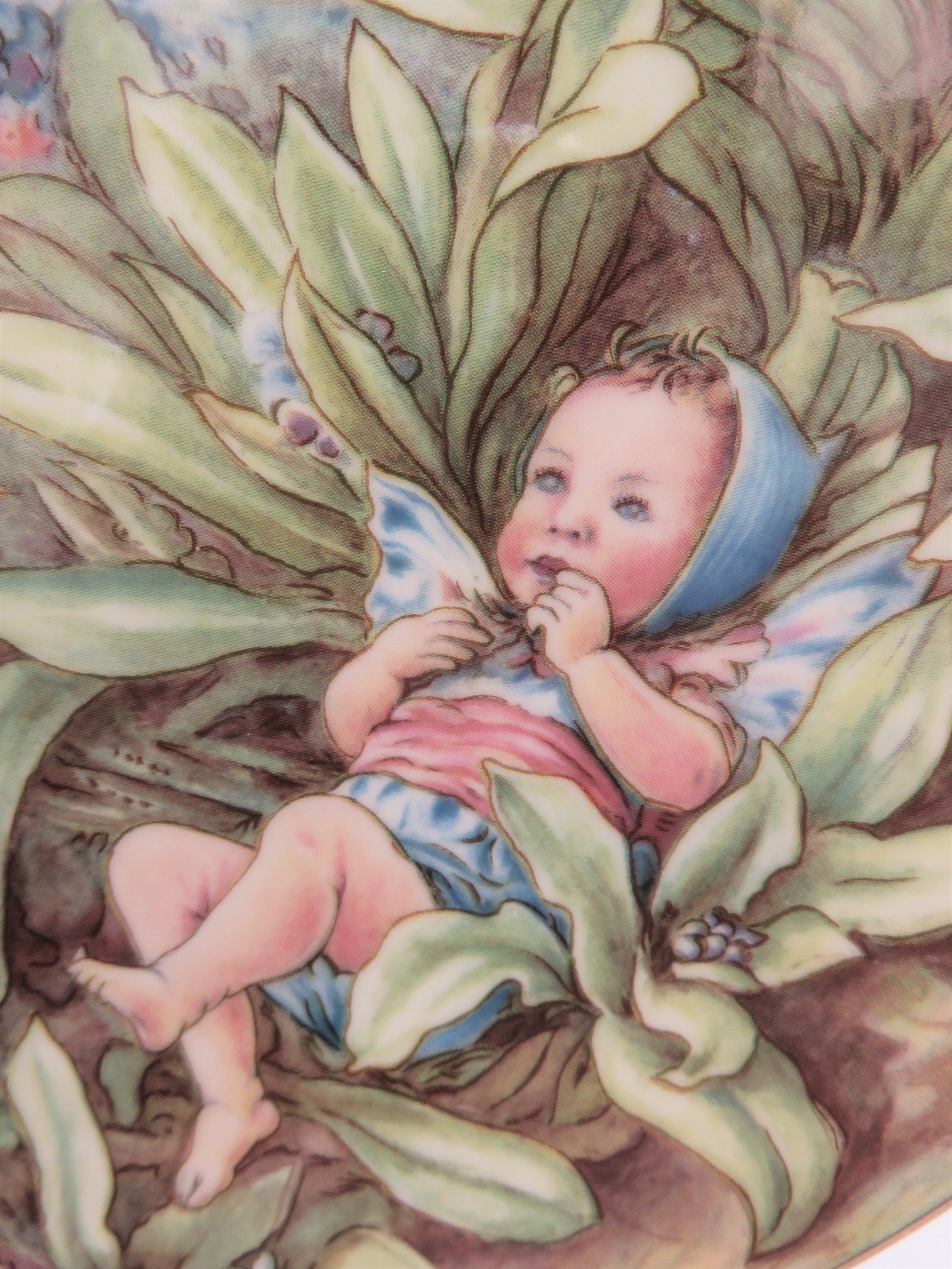 Forget Me Not Fairy Plate From the Festival of Flower Fairies - Etsy UK