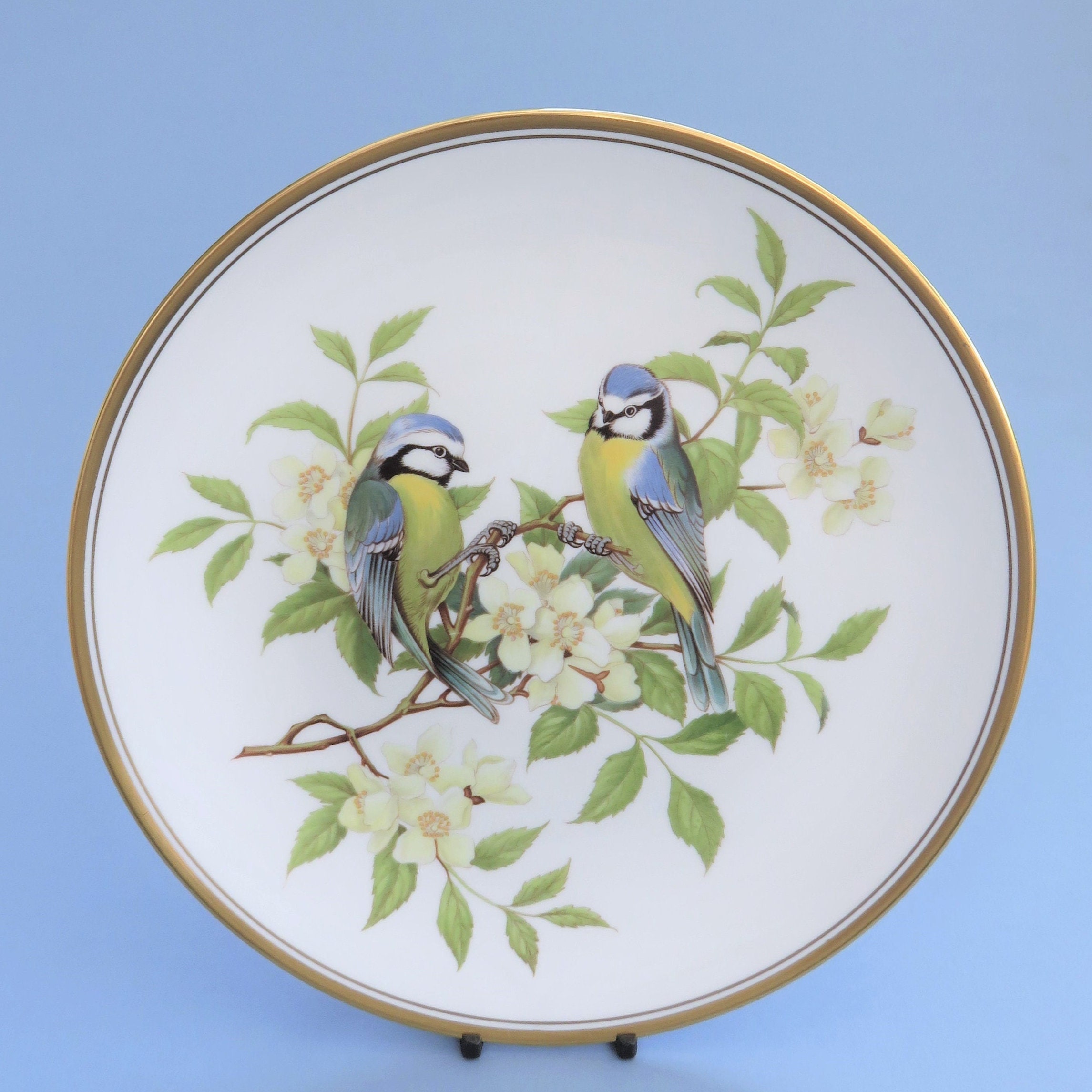  BoneChina MADEI IN ENGRAND プレート Spode Garden Birds Plate Beautiful Blue Titmouse Collectible Plate