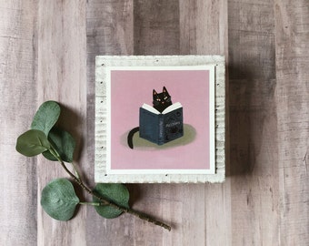 Black Cat Potions - 5x5 Inch - Art Print