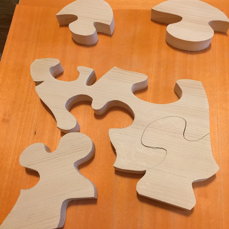 Wood jigsaw puzzle Turtle Jigsaw Puzzle