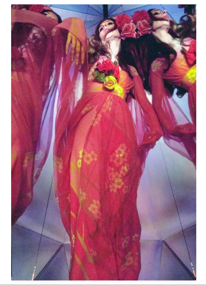 Maxi Dress Kimono Kaftan 60s 70s Asian Flower 1970 Hippie Caftan