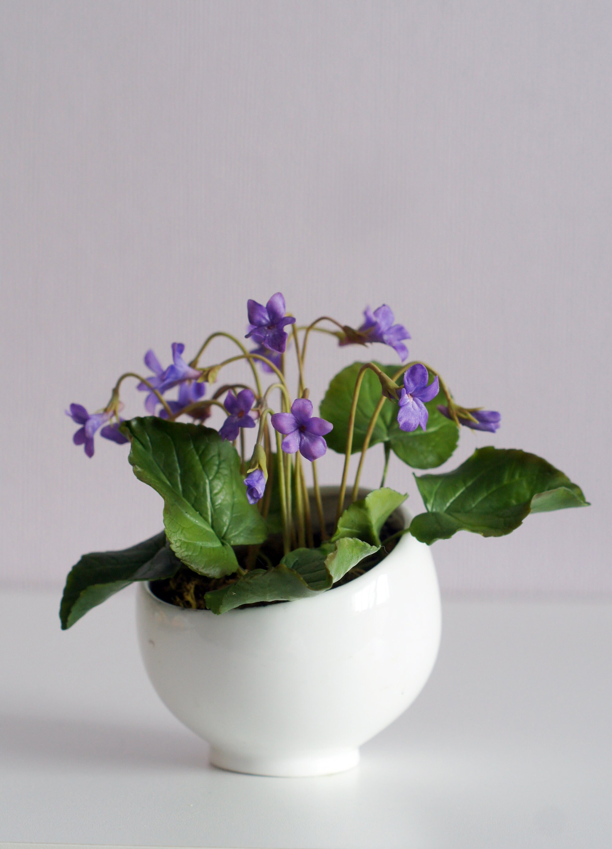 Cold Porcelain Wild Violets in a Vase Viola Odorata Floral Etsy