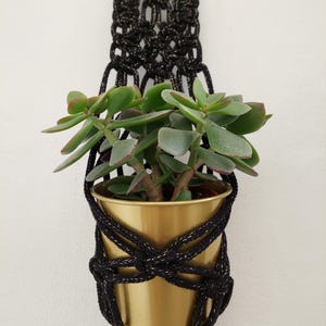 May include: A black and gold macrame plant hanger with a small gold pot and a green succulent plant.