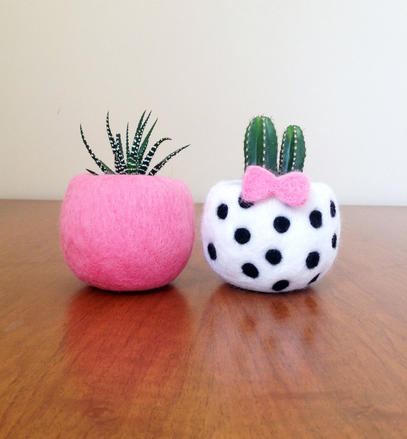 Cactus pot decor cute desk accessories cute planters small ...