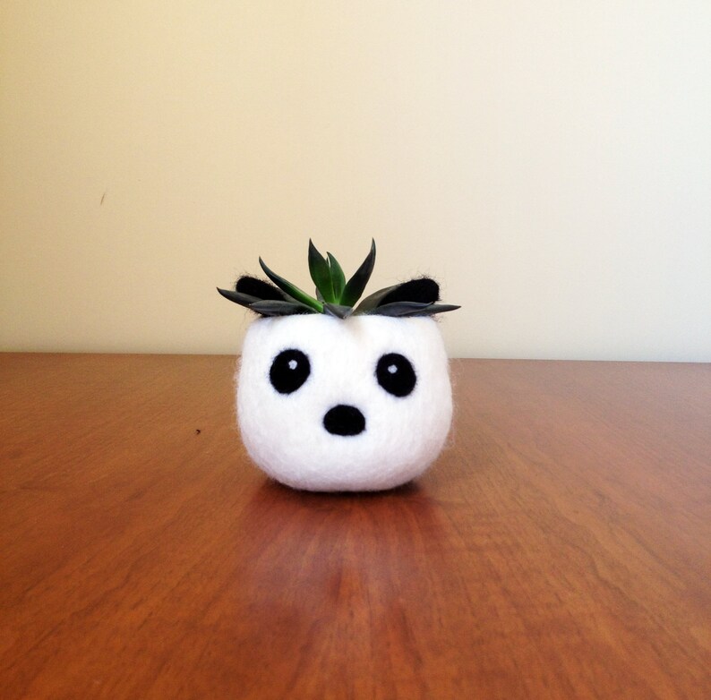 Succulent Planters Cute Office Decor Flower Pot Felt Etsy