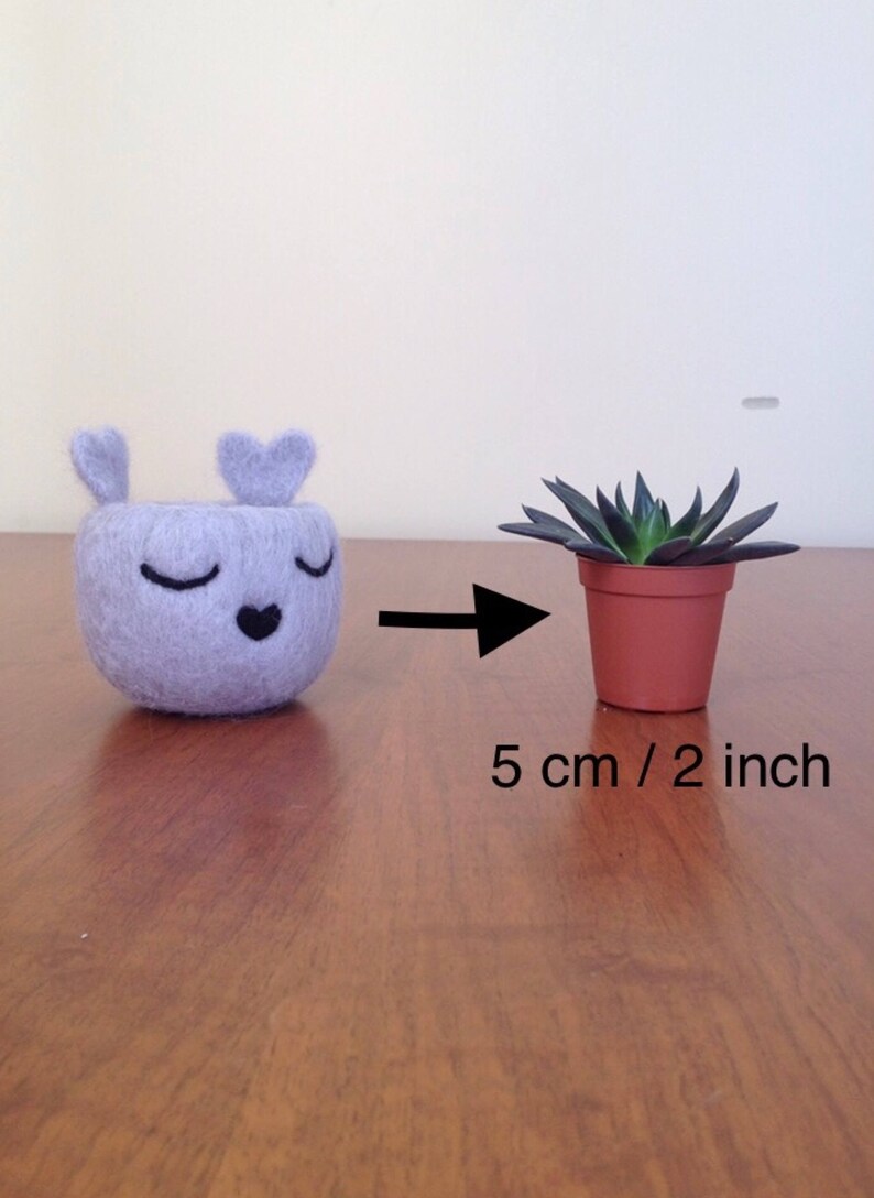 Succulent Planters Cute Office Decor Flower Pot Felt Etsy
