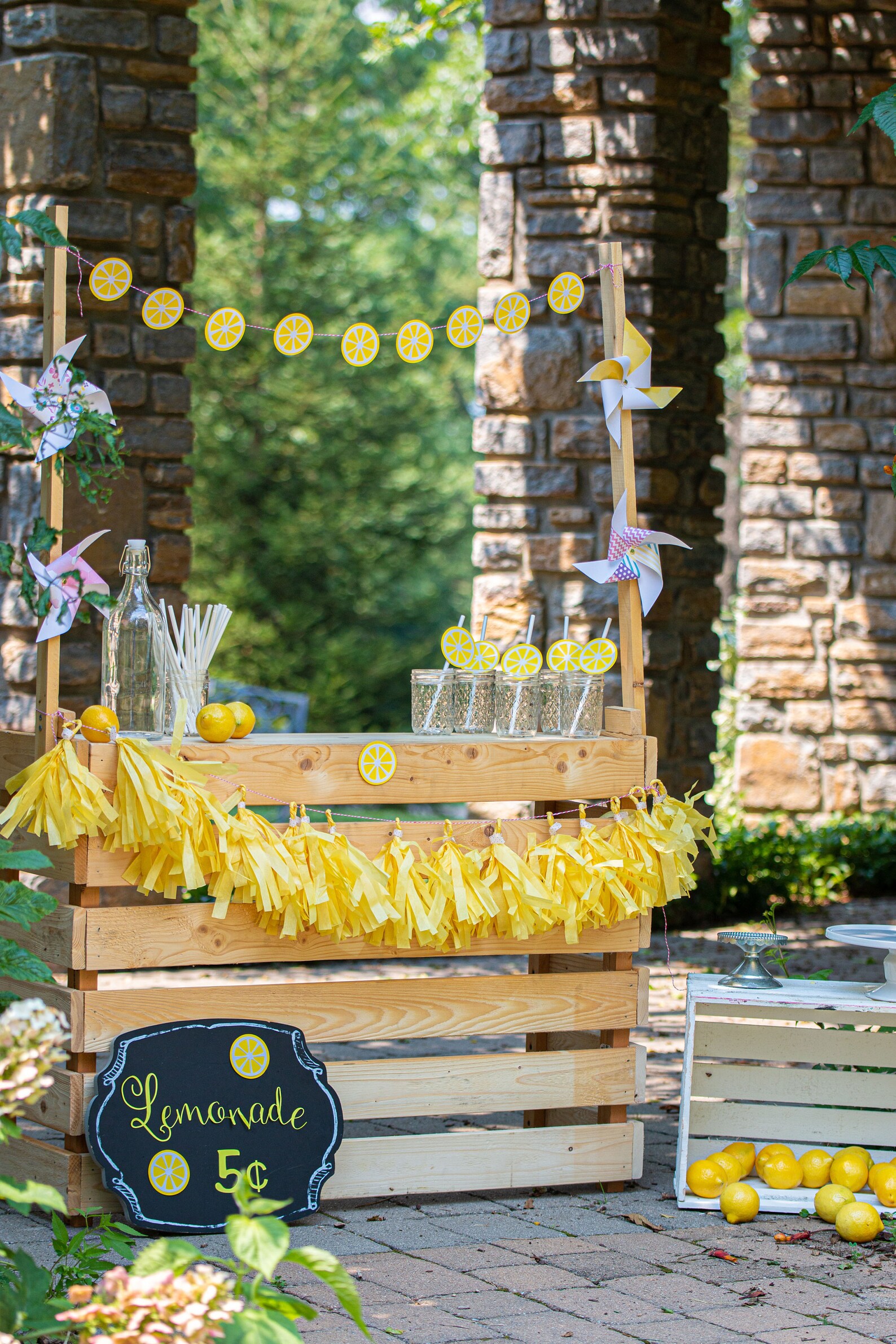 Lemonade Stand Photoshoot Prop Kit With Lemon Banner and Lemon Etsy