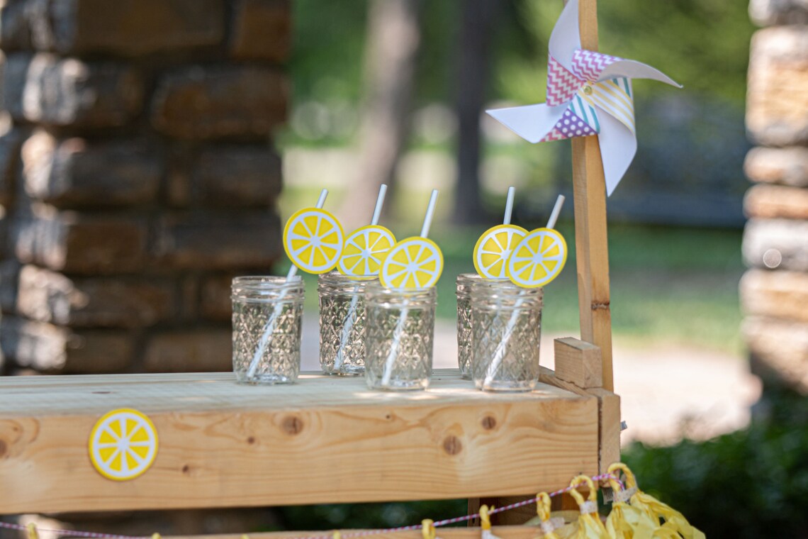 Lemonade Stand Photoshoot Prop Kit With Lemon Banner and Lemon Etsy